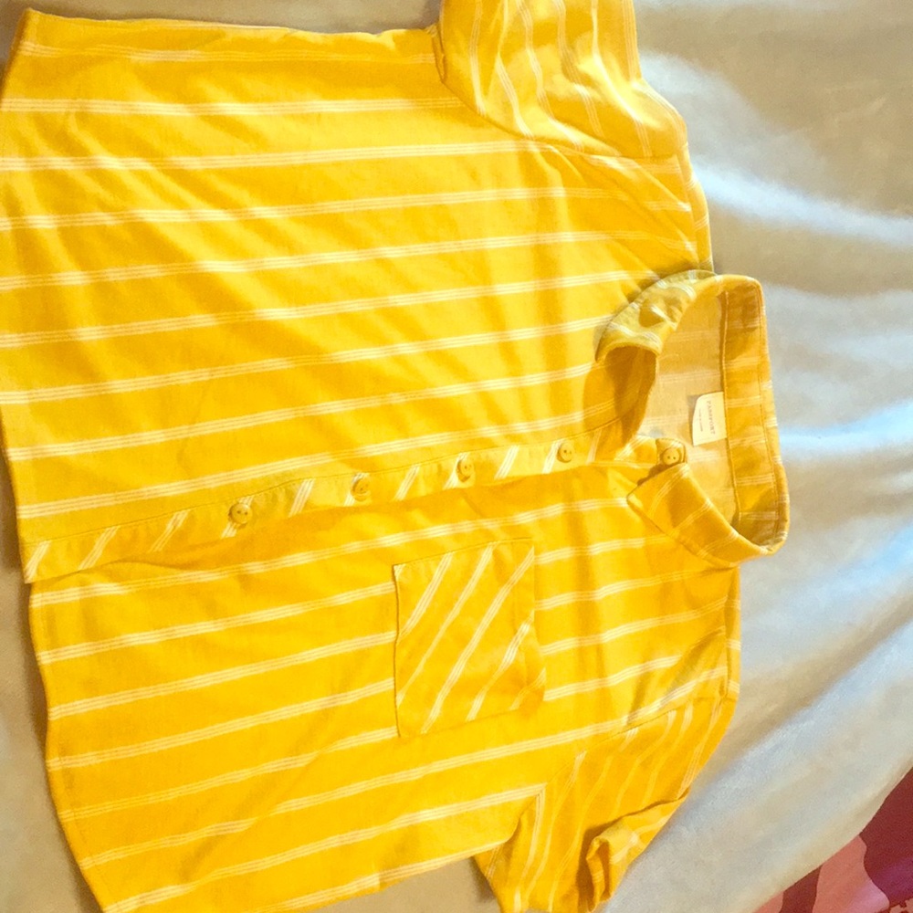 Crop top button up